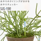 ( почтовая доставка возможно )kyabino che SUStee полив контрольно-измерительный прибор подвеска чай 