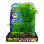 niso-NAP-511 little сад коряга 2ma LUKA n