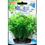 訳あり 癒し水景 たっぷりバコパ 水槽用品 水草 ジェックス