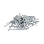 藤原産業 SK11 ブラインドリベット 50入 SA5-6M