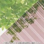 hisi волна поли ka10 сяку Brown затонированный ширина ( примерно )655× длина ( примерно )3030mm ( магазин квитанция только )