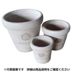  есть перевод advanced * pra The терракота pot S размер белый NP218