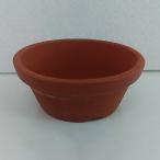 ����ʪ�� Ohishi ��ȭ ������ȭ(����ȭ) 2.5��