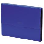 リヒトラブ LIHIT LAB. リクエスト 不透明ドキュメントファイル A4 藍 G5800-11