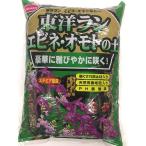  солнечный and Hope Восток Ran * креветка ne*o Moto. земля 5L