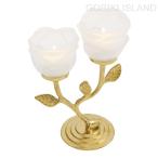 ゴーリキアイランド キャンドルス�