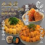 [..2 цвет * сосна передний икра сельди ].. морской еж hemicentrotus фиолетовый морской еж каждый 90~100g сосна передний икра сельди 300g морской еж hemicentrotus сырой Kitamura saki морской еж соль вода морской еж .. морской еж Hokkaido подарок 