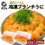 【ブランチウニ100ｇ×2】 Aランク 冷凍ウニ 冷凍うに200g うに ウニ ミョウバン未使用 ブランチウニ お返し 丼 うに丼   贈り物  丼 うに チリ産 うに丼