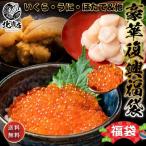 【北海道産2021年福袋】 福袋 セットいくら・うに・帆立 確定の　全5〜7種 　グルメ 復興支援   海産物 北海道 北海道物産展 福袋  北海道復袋 復袋 コロナ