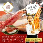  наша компания ограничение мир максимальный треска - * shrink механизм *11L и больше 2 плечо 5kg передний и задний (до и после) мир максимальный класс еда . отвечающий . выдающийся!!.....