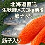 【北海道直送】生秋鮭メス 3kg前後 