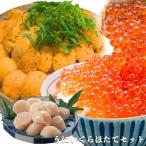  осэти [ море .]b ланч .. морской еж b ланч морской еж 100g морской еж . примерно .. соевый соус ..250g(.) Hokkaido производство ... стойка Special 500g передний и задний (до и после) 