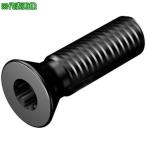 #SANDVIK chip винт (810)[6088554:0][ витрина квитанция не возможно ]