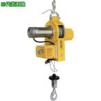 ■TKK ベビーホイスト 180kg 30m【6863348