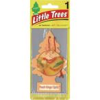 # little tree z воздушный свежий na-1P - Peach Ginger Spritz(pi-chi Gin ja- Spirits )[6968234:0][ витрина квитанция не возможно ]