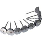 #DAIDOHANT нержавеющая сталь объединенный зонт гвоздь 14×38 фундамент 9шт.@×50 полосный входить [8218435:0][ витрина квитанция не возможно ]