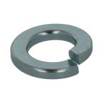 ウィット ばね座金 2号 ユニクロ W1/2 (100個)