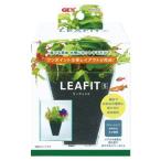 [ кейс распродажа ] GEX(jeks) Lee Fit S 12 шт. комплект 