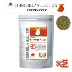 [即納在庫品]  イースター チンチラ�