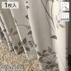 カーテン 遮光1級 形状記憶 レリーフ ベージュ 100×250 1枚 イージーオーダー E.O 青木