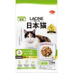 その他キャットフード