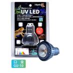 [ немедленная уплата наличие товар ]zen acid микро UV LED замена лампочка GU10 100V compact безопасность безопасность рептилии для чуть более ультрафиолетовые лучи LED