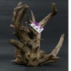 sonekemifa черный звуковой сигнал L