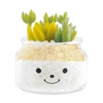 kisima искусственная зелень человеческий труд декоративное растение fami-yu дезодорация a-tifi автомобиль ru зеленый nata Lee 