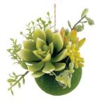 kisima искусственная зелень висячий мяч Se прозрачный CT катализатор декоративное растение A