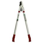 sita храпового типа futoshi ветка порез .