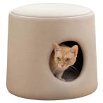  Iris o-yama pra i дерево домашнее животное house 