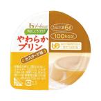 やさしくラクケア やわらかプリン カスタード味 / 091241 63g ハウスギャバン (E1896)