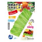 シンカテック バラン ベジカベ 抗菌 お弁当用