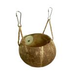  три . association солнечный ko- здесь * cup 