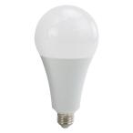 SK11 LED交換球 23W LDA23D-G-SK