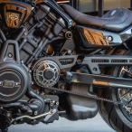  Harley Night Star RH975 качающийся рычаг Swing Arm axle покрытие черный Thunderbike