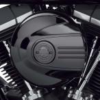  Harley Davidson Willie G* Skull * коллекция воздухоочиститель отделка 29400339
