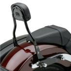  Cobra 602-2011B COBRA раунд * съемный "пассажирская спинка" комплект черный 2018 после FLSB