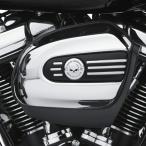  Harley оригинальный Willie G Skull * коллекция воздухоочиститель отделка 61300654