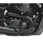  Harley оригинальный sk Lee min Eagle * задний Schott * выхлоп защита комплект 65400167