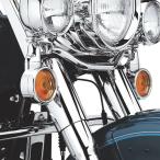 ハーレー ダビッドソン ターンシグナル トリムリング・コレクション（フラット用） 69740-01