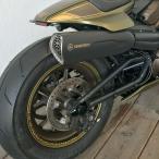  Harley Sportster S задний мост покрытие Cult Werk