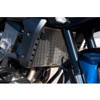 MORIWAKI/ Moriwaki радиатор core защита KIT серебряный HAWK11 22- 01911-201V6-00