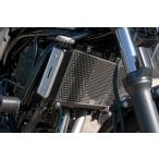MORIWAKI/ Moriwaki Z650RS 22- радиатор core * защита KIT SILVER ( номер товара 01911-20258-00)