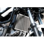  Pro fe -тактный радиатор core защита NC700X/S 12-13/750X/S 14-21 PRG181