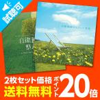 通常価格3,960円【P10倍】自律神経2枚セットヒーリング CD 音楽 癒し 自律神経 更年期 健康グッズ メンタルヘルス 人気セット 眠れる 快眠