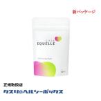 エクエル 120粒入 パウチ エクオール 大塚製薬 EQUELLE メール便送料無料