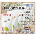 エクエル 120粒入 パウチ 5個セット エクオール 大塚製薬 EQUELLE メール便送料無料