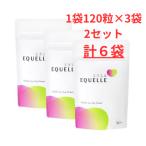 エクエル 120粒入 パウチ　6個セット エクオール 大塚製薬 EQUELLE メール便送料無料　6袋　爆買