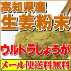 生姜 粉末 しょうが パウダー100g 高知県産ウルトラ生姜 殺菌蒸し工程 1cc計量スプーン入り メール便 送料無料